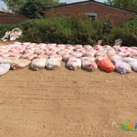 供应道路灌封胶，沥青冷补料