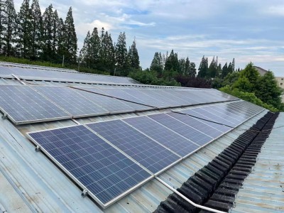 上海光伏组件回收