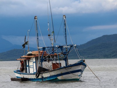 武汉范围内专业回收大量渔船