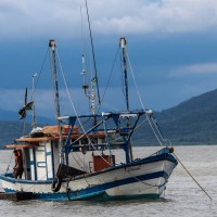 武汉范围内专业回收大量渔船