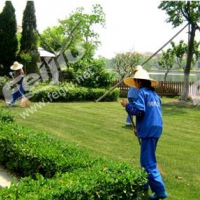 河北地区常年承接园林绿化工程